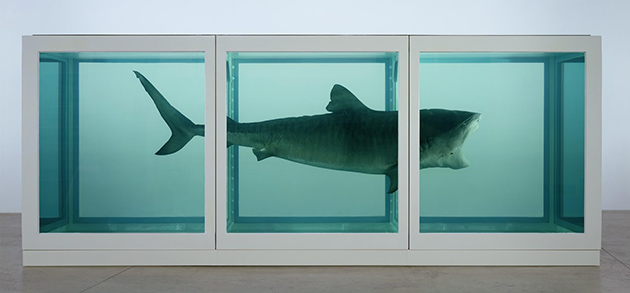  Shark encapsulated in a tank by Damien Hirst