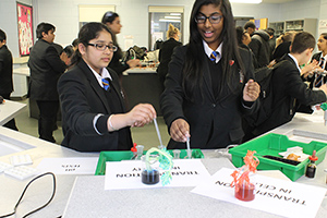  Colourful celery in science week