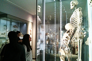  Year 12 students in the Hunterian Medical History Museum