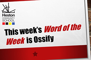  WOTW - Ossify