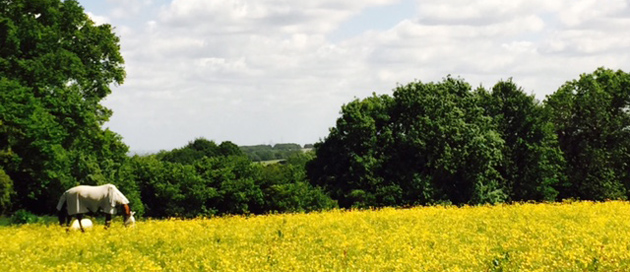  Box Hill