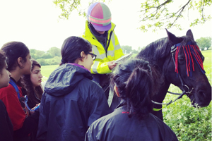  Students get directions from a Horse Rider on Box Hill