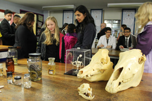  Skulls in the Biology Lab