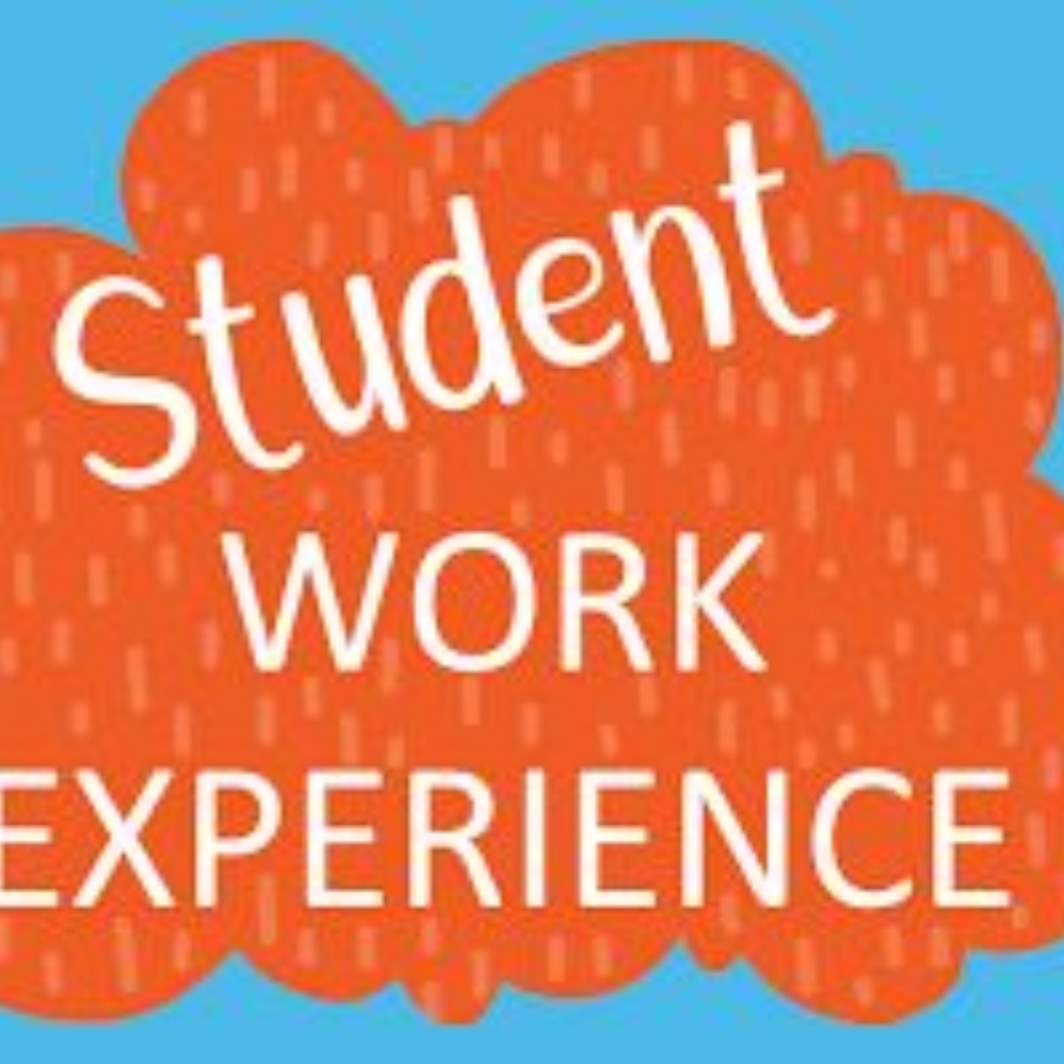 Heston Community School CAREERS CLUSTER WORK EXPERIENCE YEAR 12